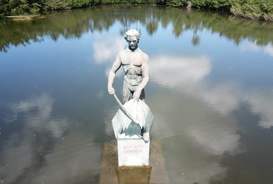 Statue surrounded by water with green vegetation in the background