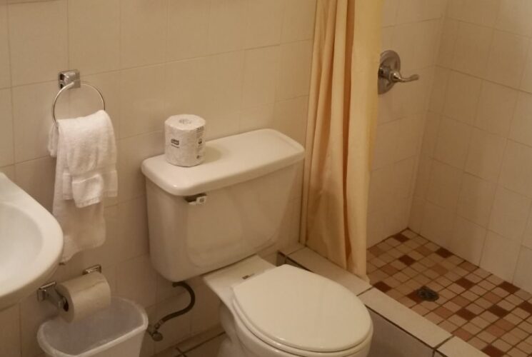 Bathroom with stand up shower, white tile, white toilet, and white pedestal sink