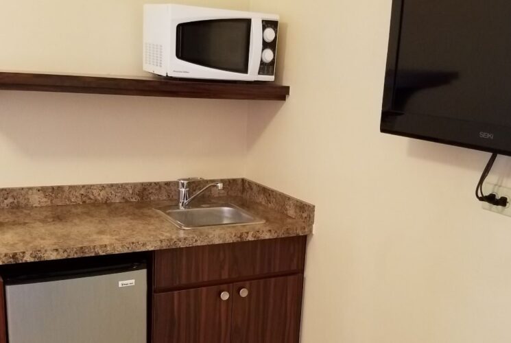 Suite with tan walls, flatscreen TV, and wetbar with sink, mini fridge, and microwave