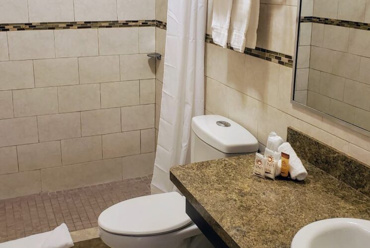 Bathroom with stand up shower, light tan tile, white toilet, quartz looking vanity top, and a mirror